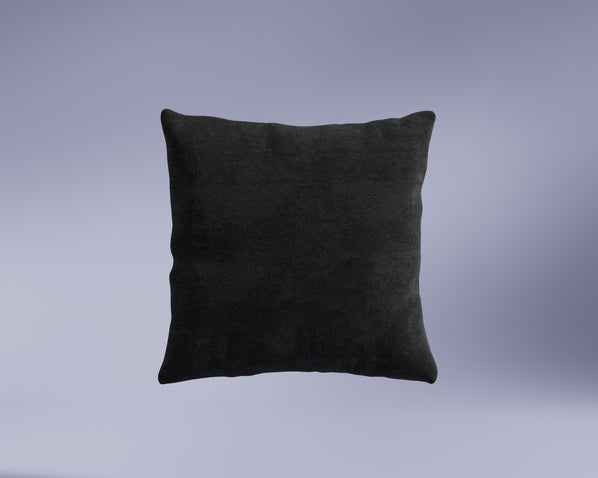 #color_carbon-black_1-pillow