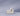#color_comet-ivory