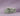 #color_krypton-green
